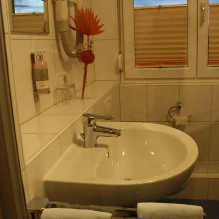 Otel Waldhorn Friedrichshafen