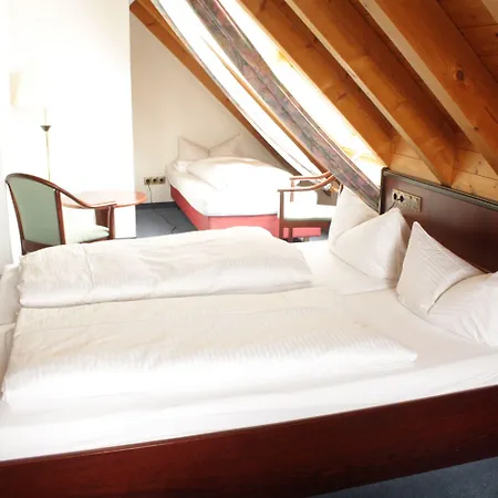 Waldhorn Otel 3*