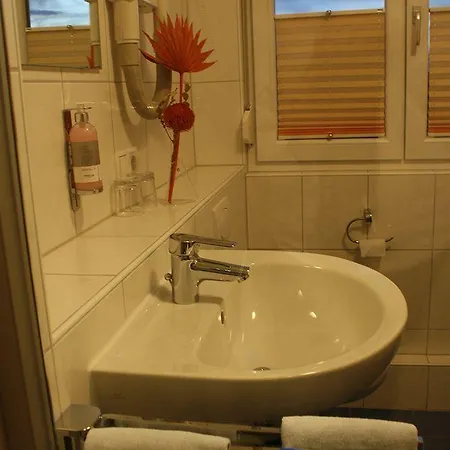 Hotel Waldhorn FDH