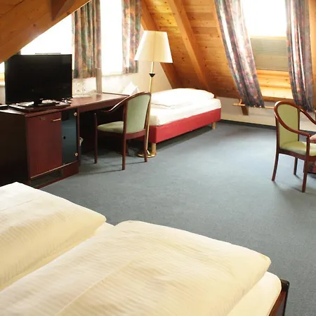 Hotel Waldhorn 3*